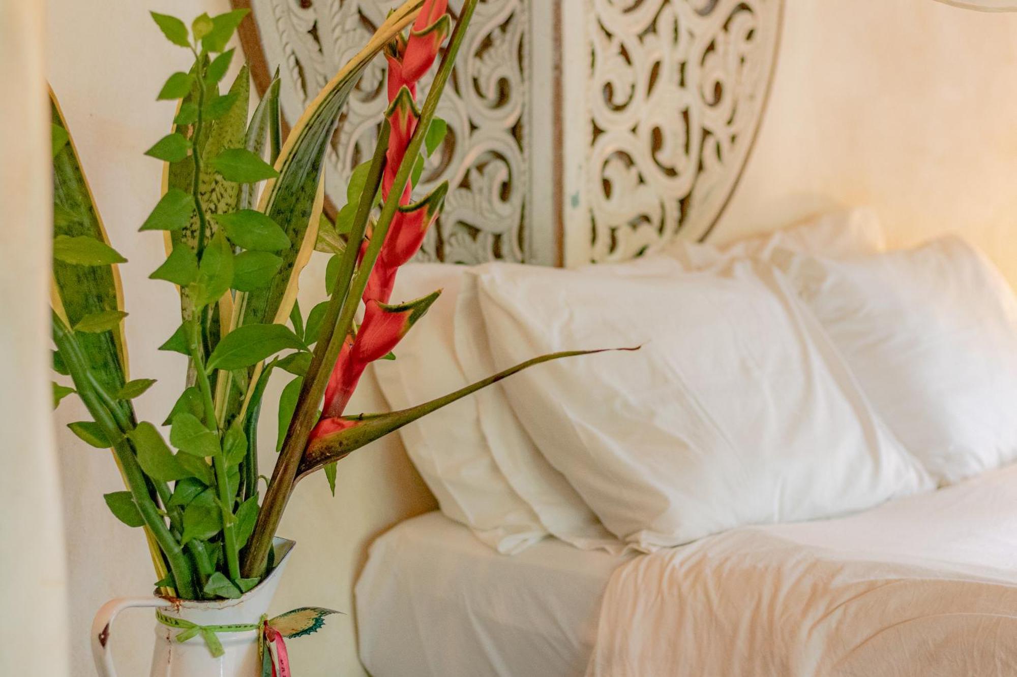 Butterfly House Bahia Hotel มาเรา ภายนอก รูปภาพ